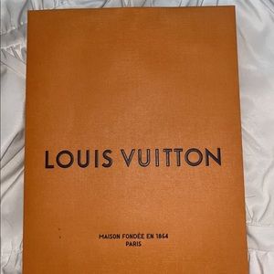 Louis Vuitton shoe shopping bag
